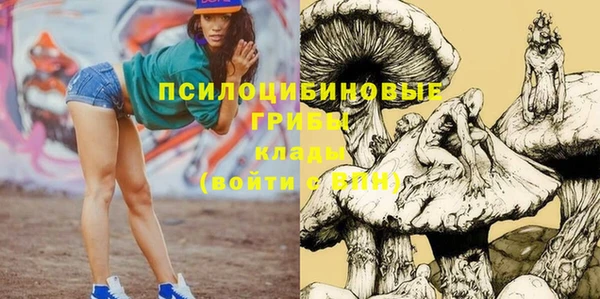 не бодяженный Беломорск