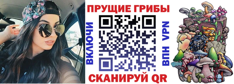 наркошоп Нелидово Псилоцибиновые грибы Cubensis